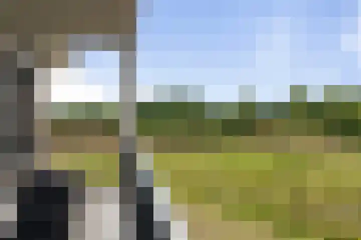 Amalialaantje 46 Bosschenhoofd thumbnail 18