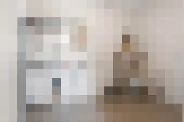 Amalialaantje 46 Bosschenhoofd thumbnail 24