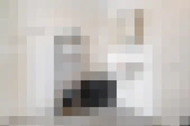 Amalialaantje 46 Bosschenhoofd thumbnail 25