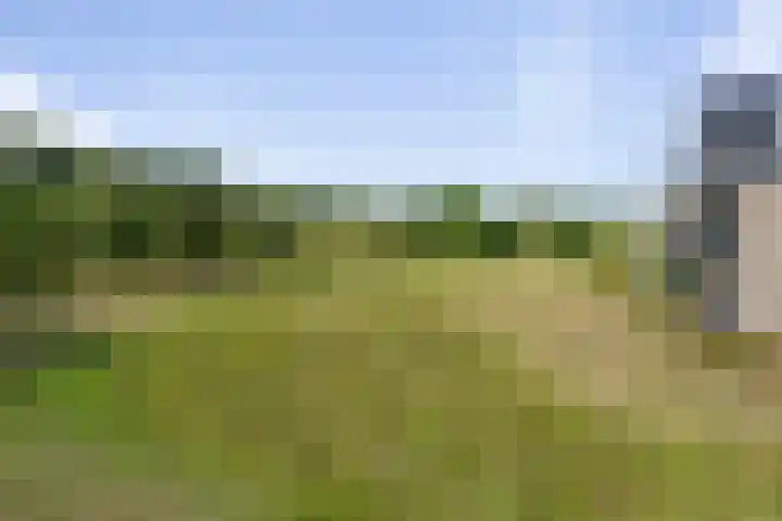 Amalialaantje 46 Bosschenhoofd thumbnail 30