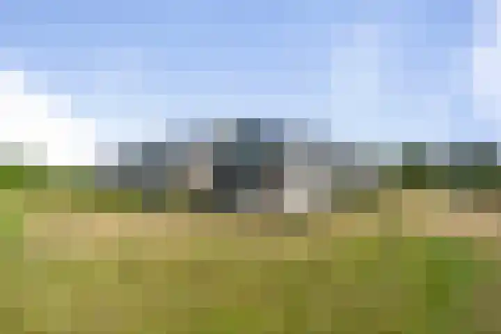 Amalialaantje 46 Bosschenhoofd thumbnail 6
