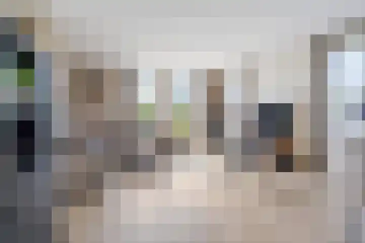 Amalialaantje 46 Bosschenhoofd thumbnail 7