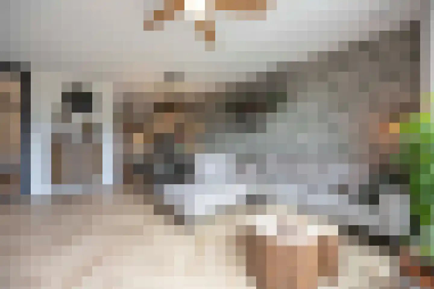 Amalialaantje 50 Bosschenhoofd thumbnail 19