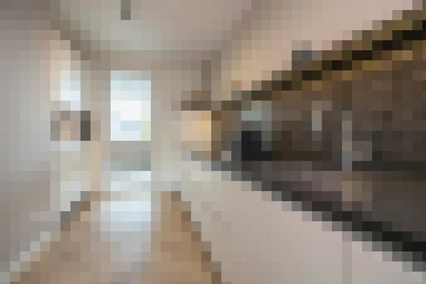Amalialaantje 50 Bosschenhoofd thumbnail 21