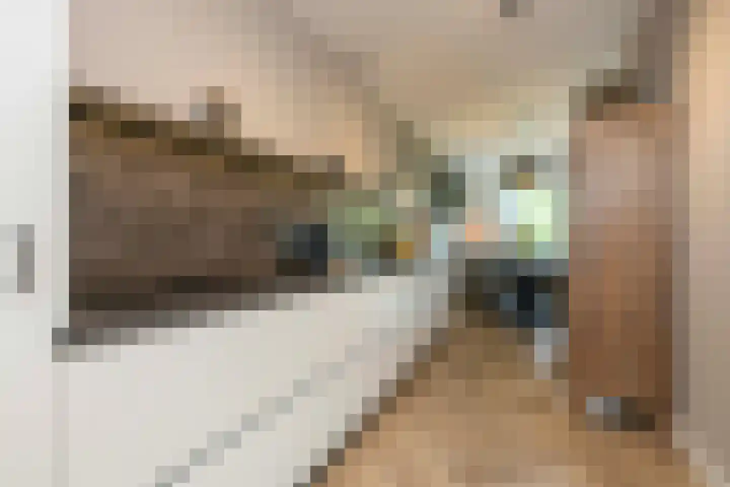 Amalialaantje 50 Bosschenhoofd thumbnail 22