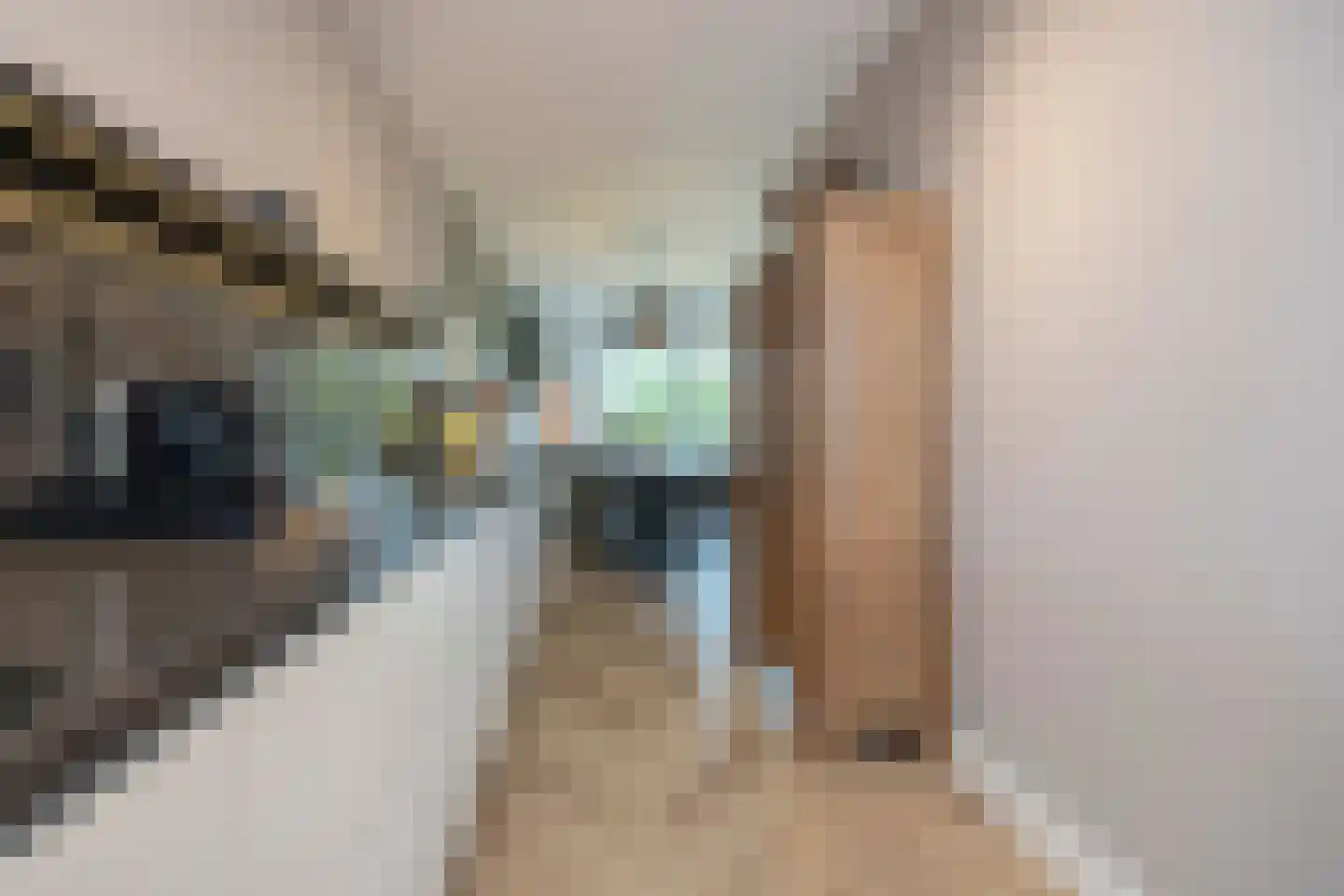 Amalialaantje 50 Bosschenhoofd thumbnail 23