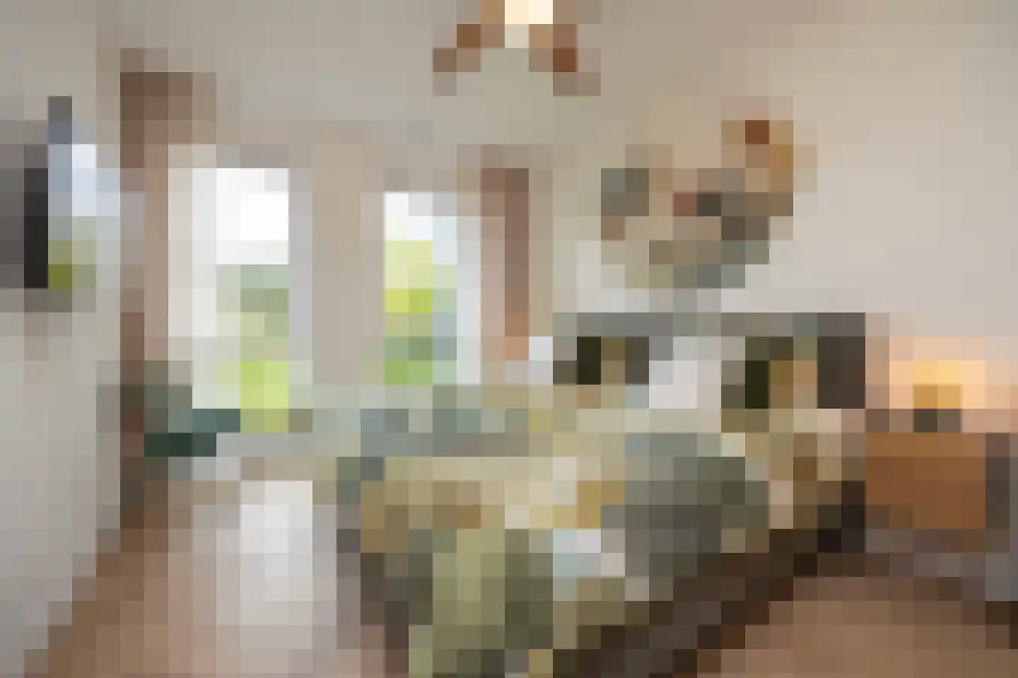 Amalialaantje 50 Bosschenhoofd thumbnail 24