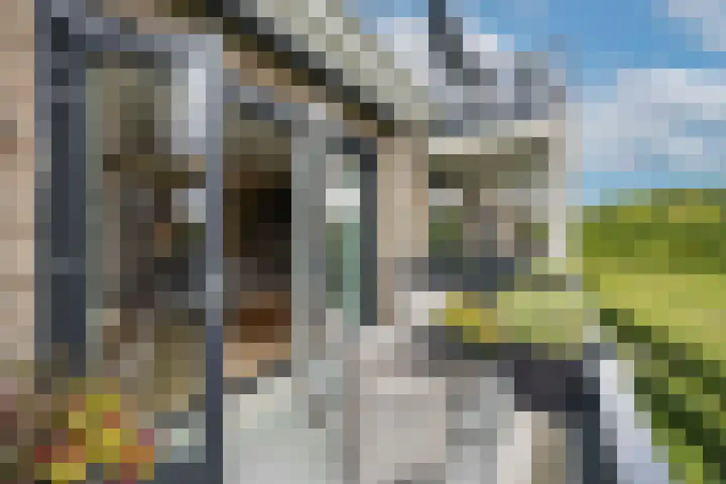 Amalialaantje 50 Bosschenhoofd thumbnail 36