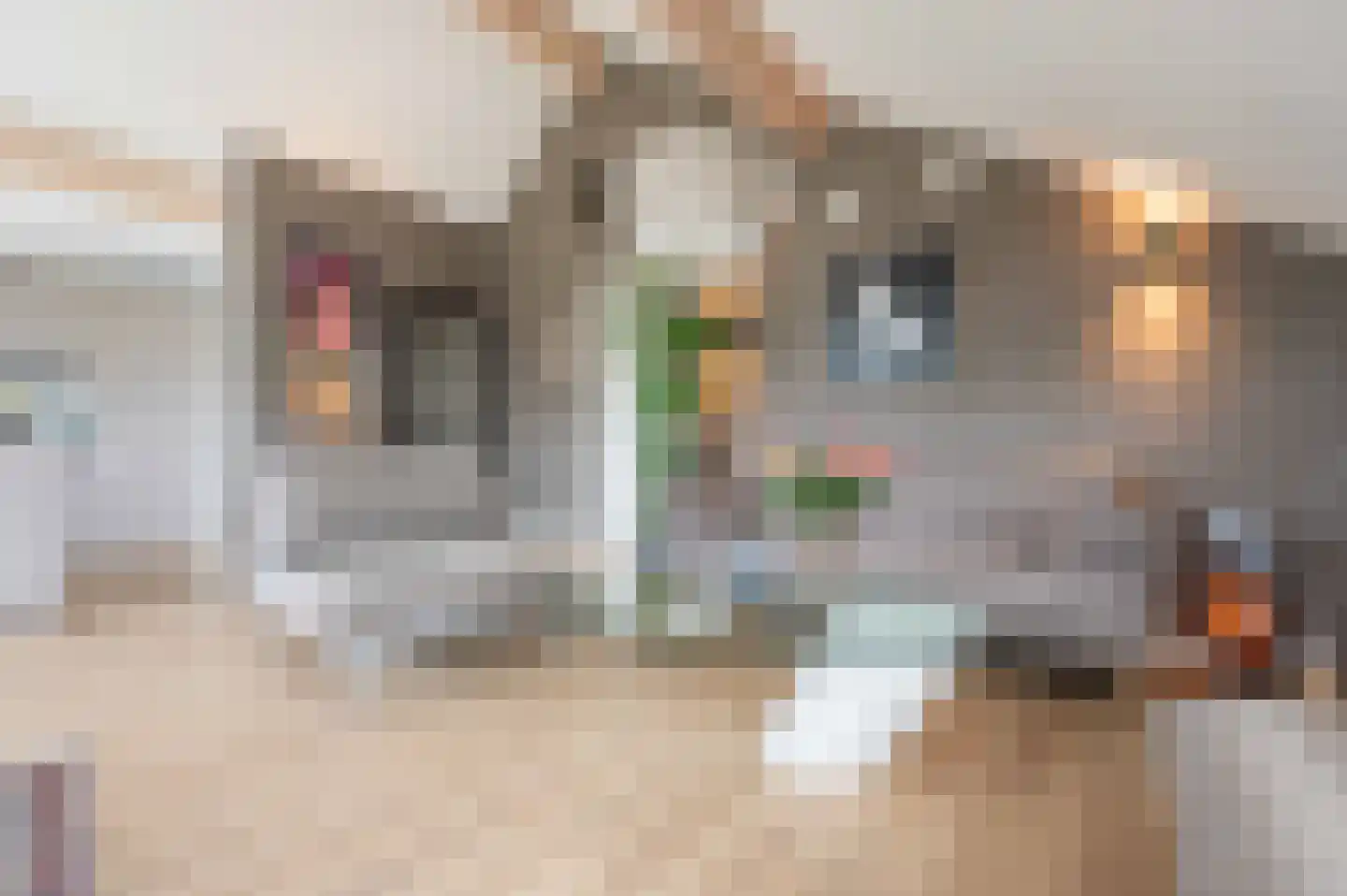 Amalialaantje 58 Bosschenhoofd thumbnail 12