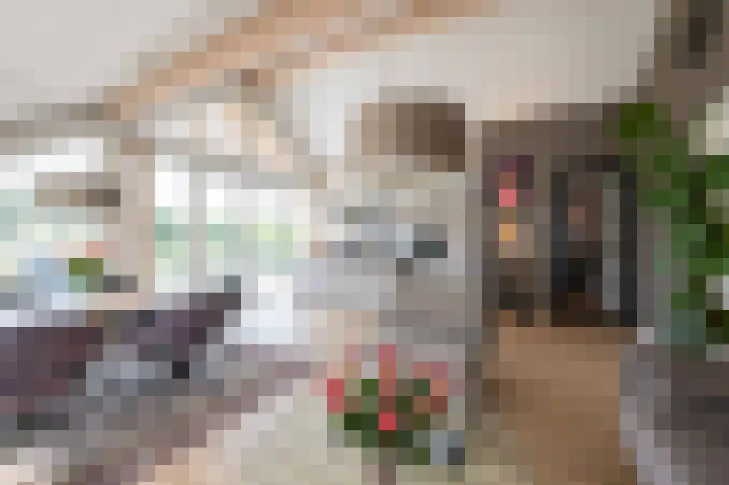 Amalialaantje 58 Bosschenhoofd thumbnail 13