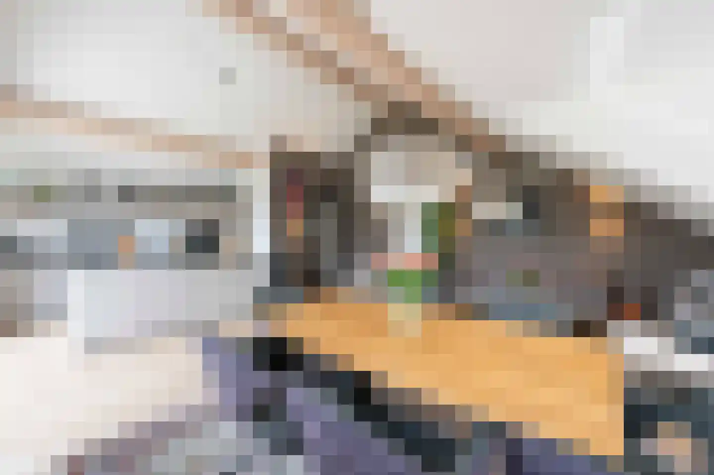 Amalialaantje 58 Bosschenhoofd thumbnail 14