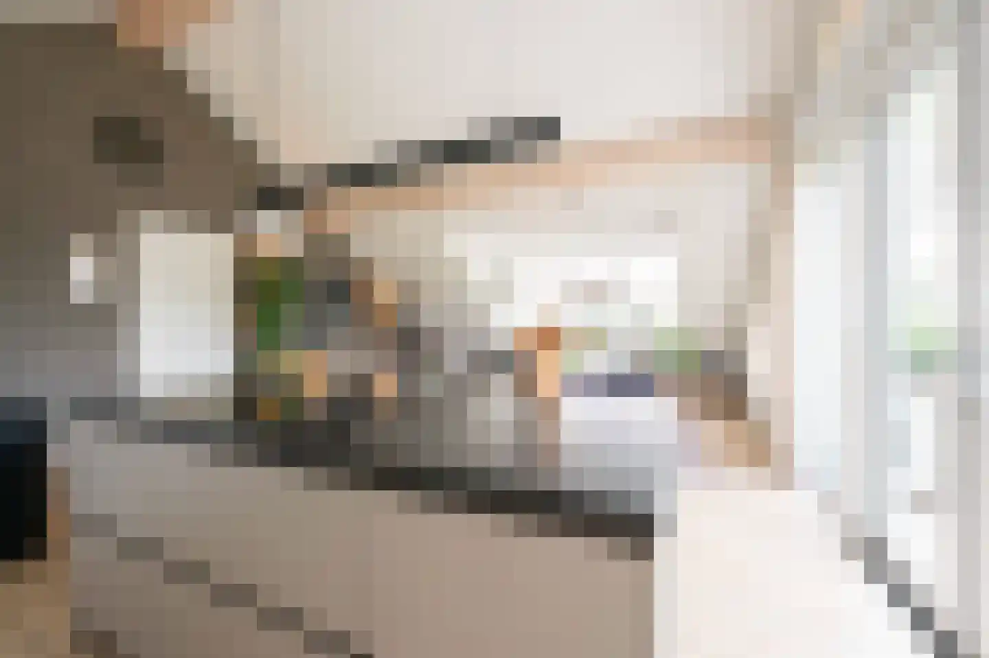 Amalialaantje 58 Bosschenhoofd thumbnail 18