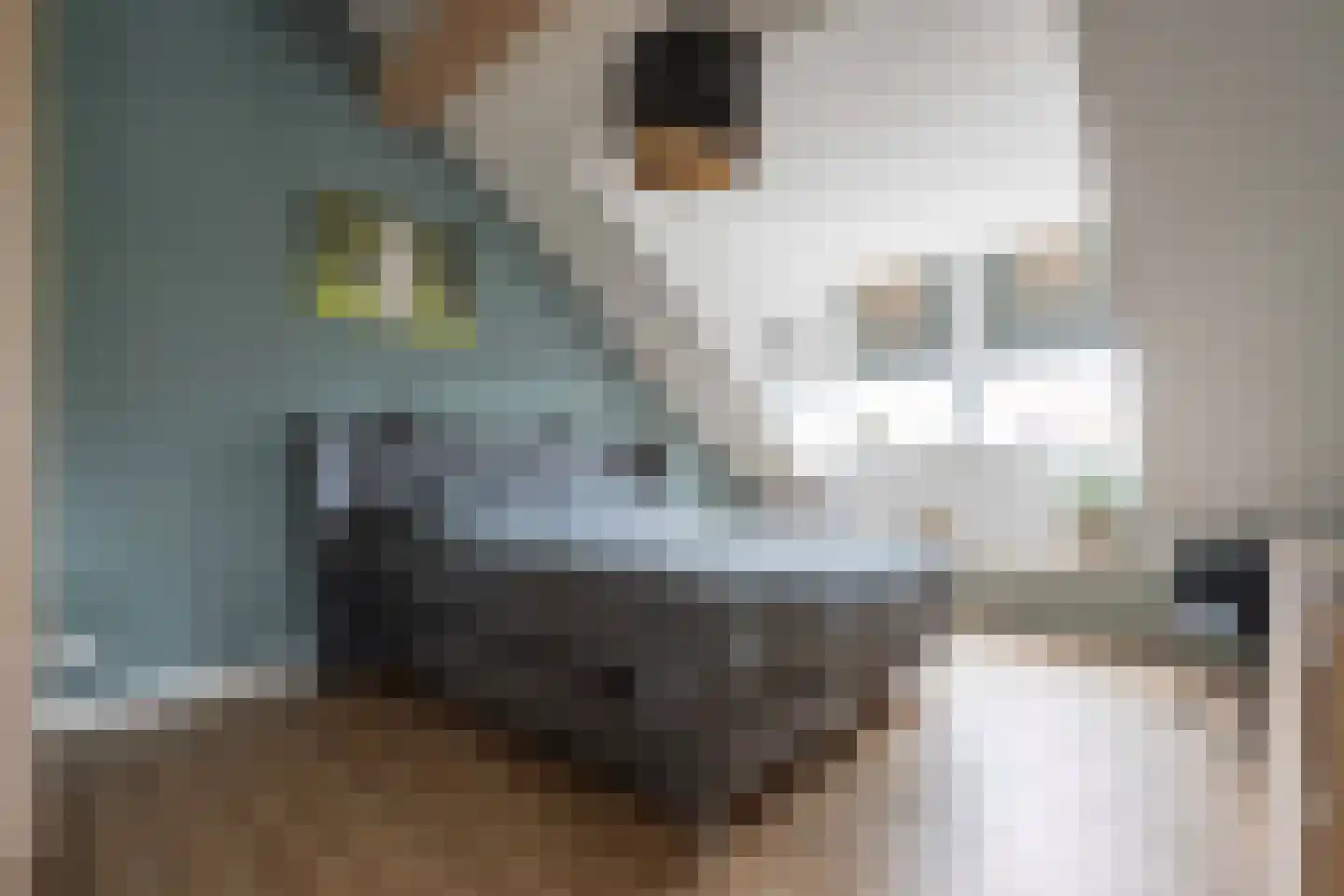 Amalialaantje 58 Bosschenhoofd thumbnail 24
