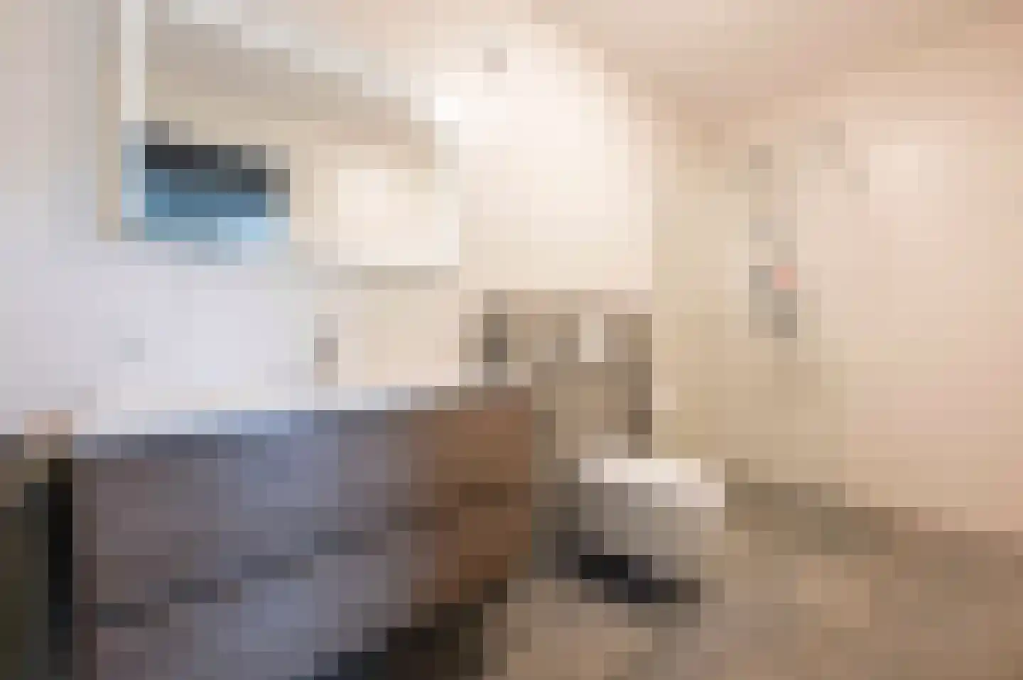 Amalialaantje 58 Bosschenhoofd thumbnail 27