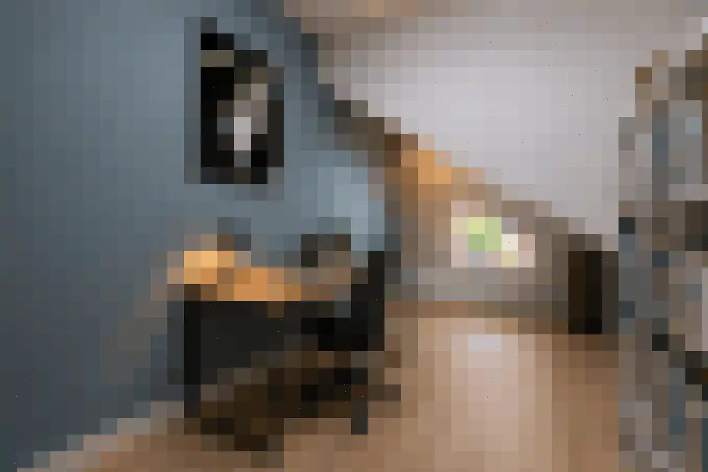 Amalialaantje 58 Bosschenhoofd thumbnail 30