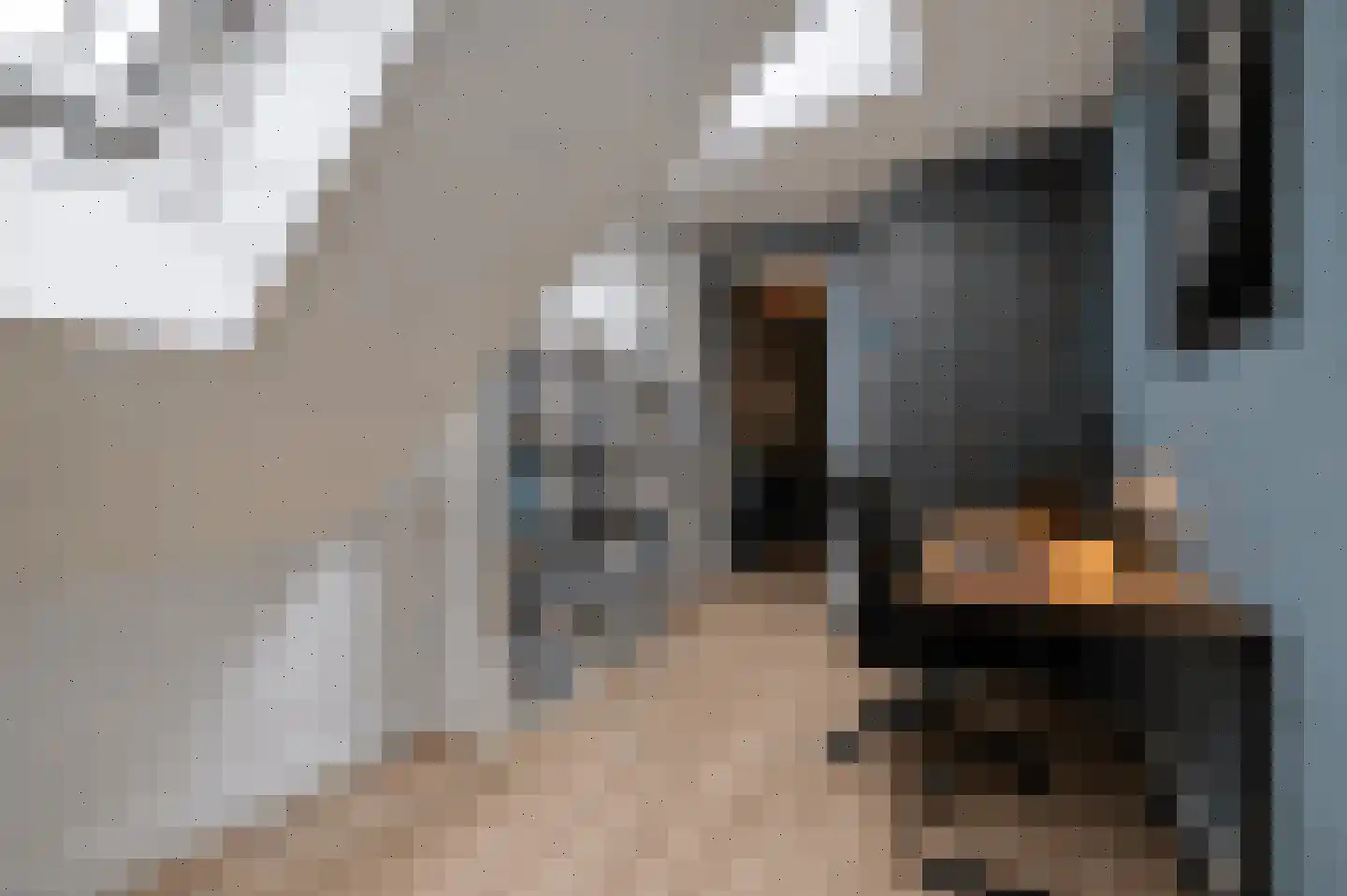 Amalialaantje 58 Bosschenhoofd thumbnail 31