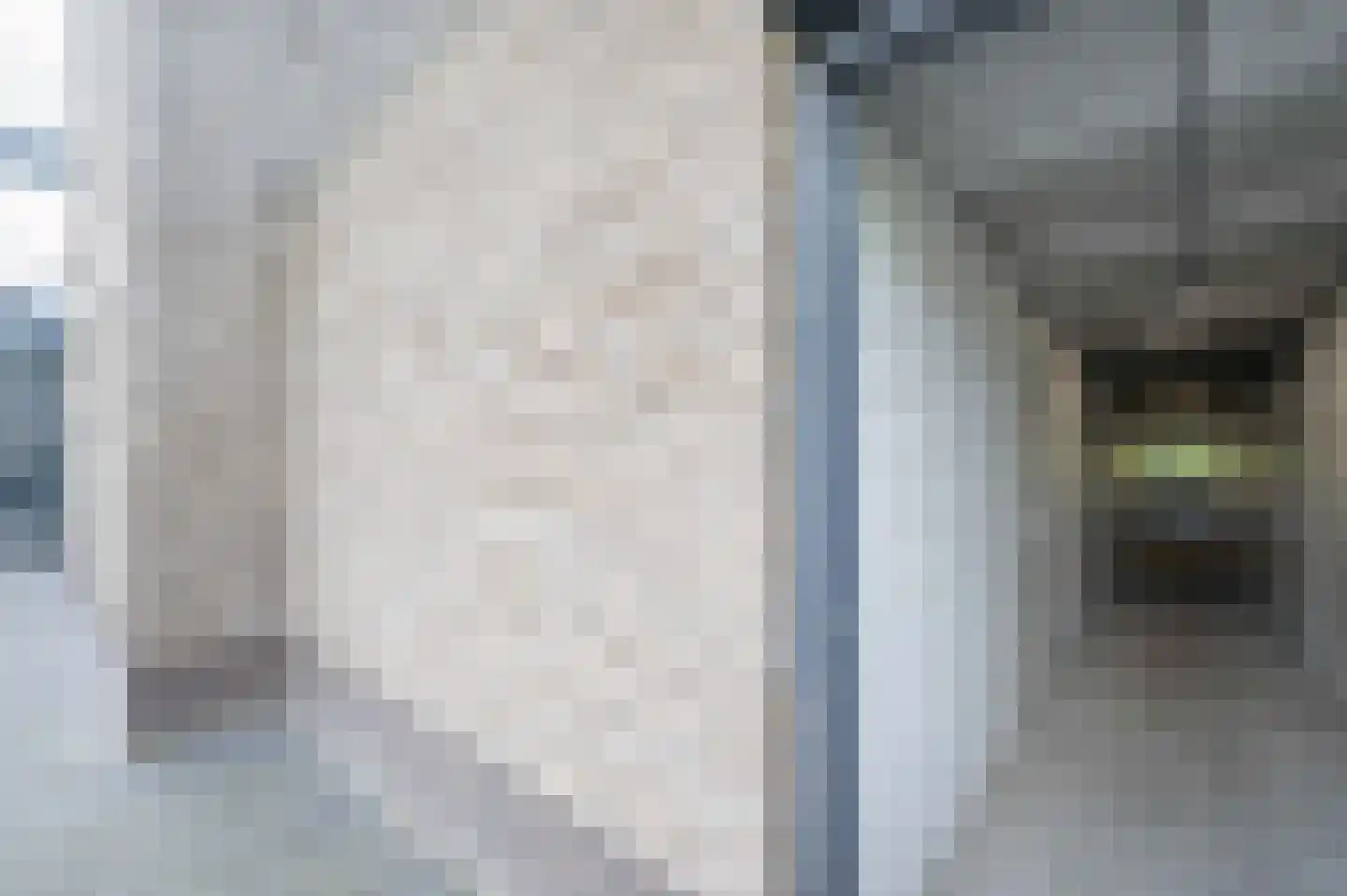 Amalialaantje 58 Bosschenhoofd thumbnail 34