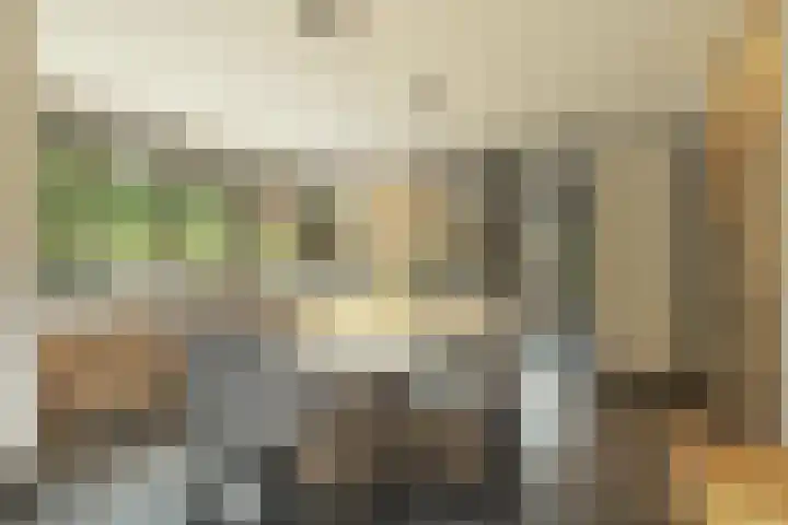 Amaliaplantsoen 18 Barendrecht thumbnail 12