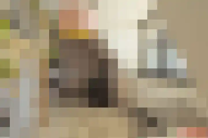 Amaliaplantsoen 18 Barendrecht thumbnail 35