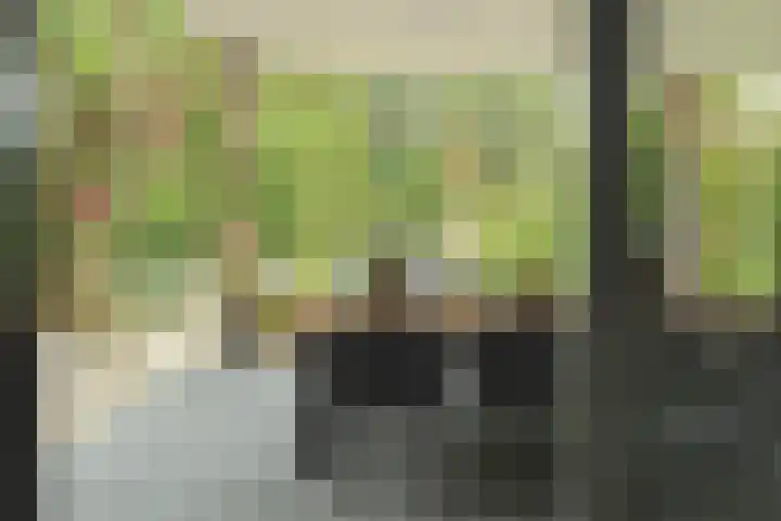 Amaliaplantsoen 18 Barendrecht thumbnail 39