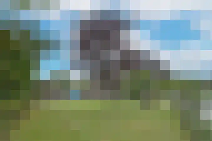 Amaliaplantsoen 18 Barendrecht thumbnail 40
