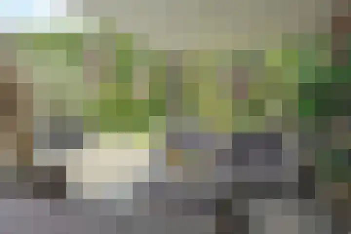 Amaliaplantsoen 18 Barendrecht thumbnail 52