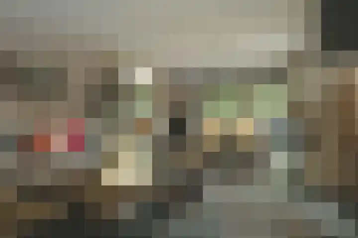 Amaliaplantsoen 18 Barendrecht thumbnail 9