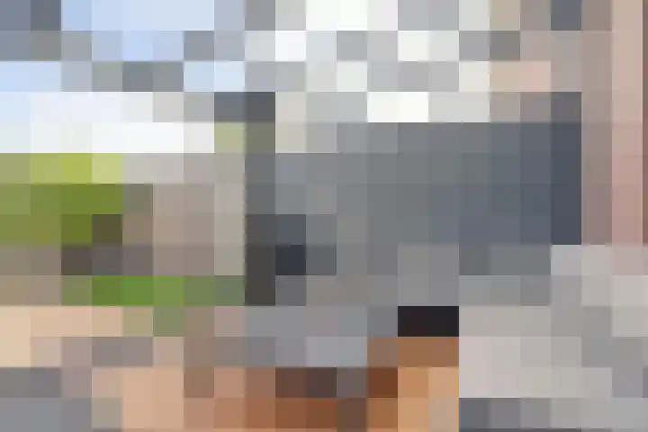 Amaliaplein 5 Wemeldinge thumbnail 25