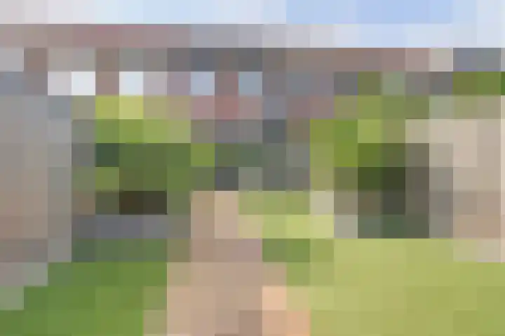 Amaliaplein 5 Wemeldinge thumbnail 31