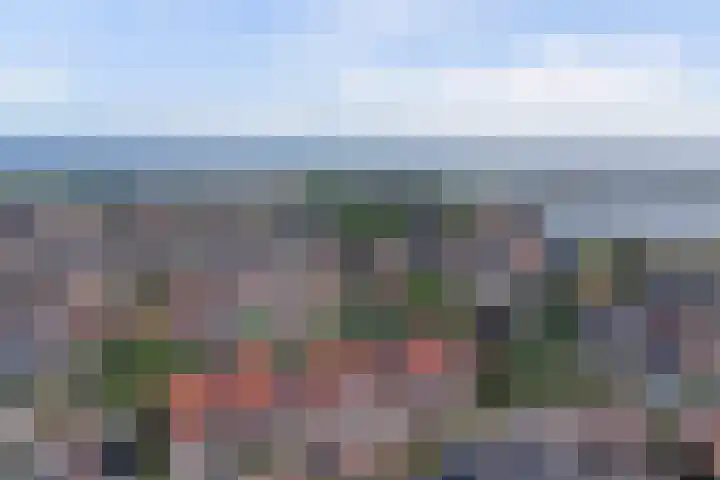 Amaliaplein 5 Wemeldinge thumbnail 34