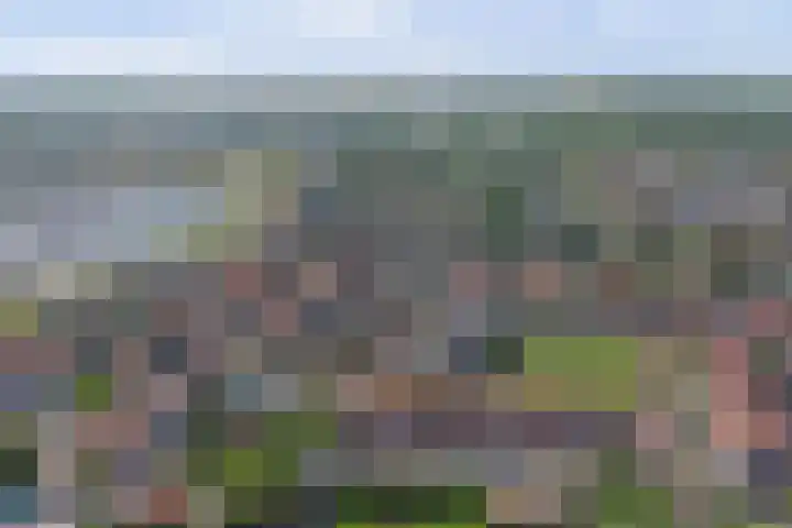 Amaliaplein 5 Wemeldinge thumbnail 36
