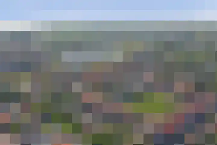 Amaliaplein 5 Wemeldinge thumbnail 37
