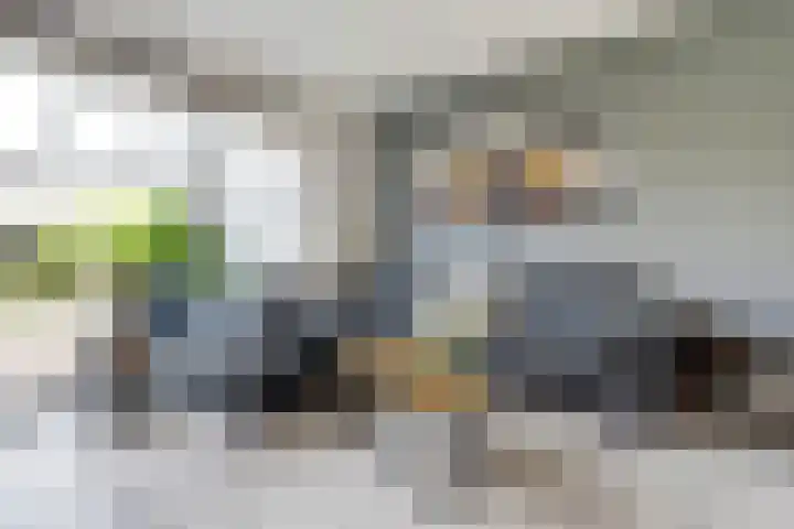 Amaliaplein 5 Wemeldinge thumbnail 7