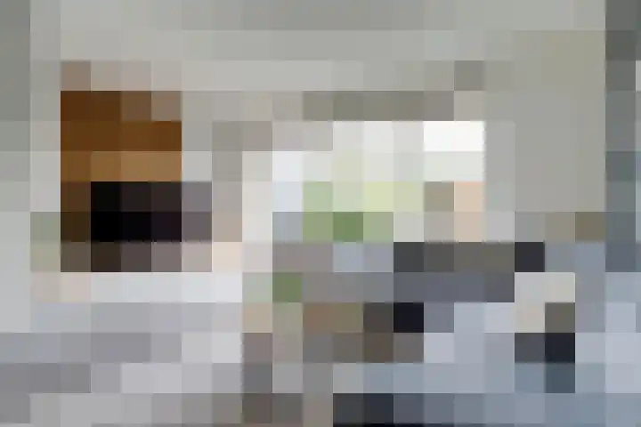 Amaliaplein 5 Wemeldinge thumbnail 8