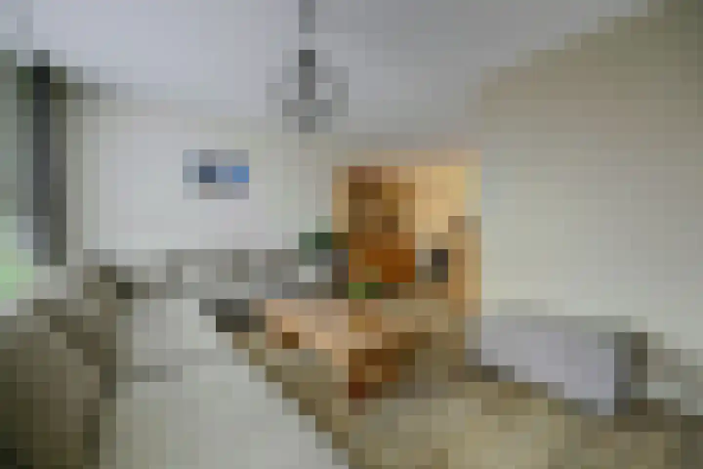 Amaliaplein 61 Wemeldinge thumbnail 10