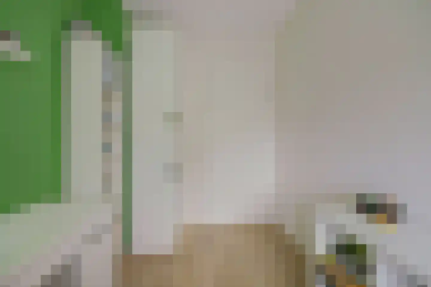 Amaliaplein 61 Wemeldinge thumbnail 29