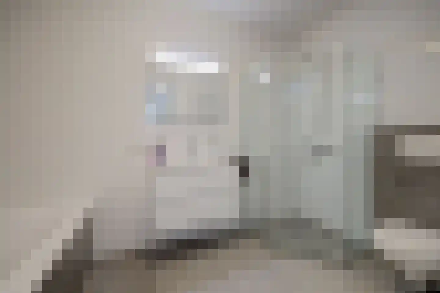Amaliaplein 61 Wemeldinge thumbnail 30