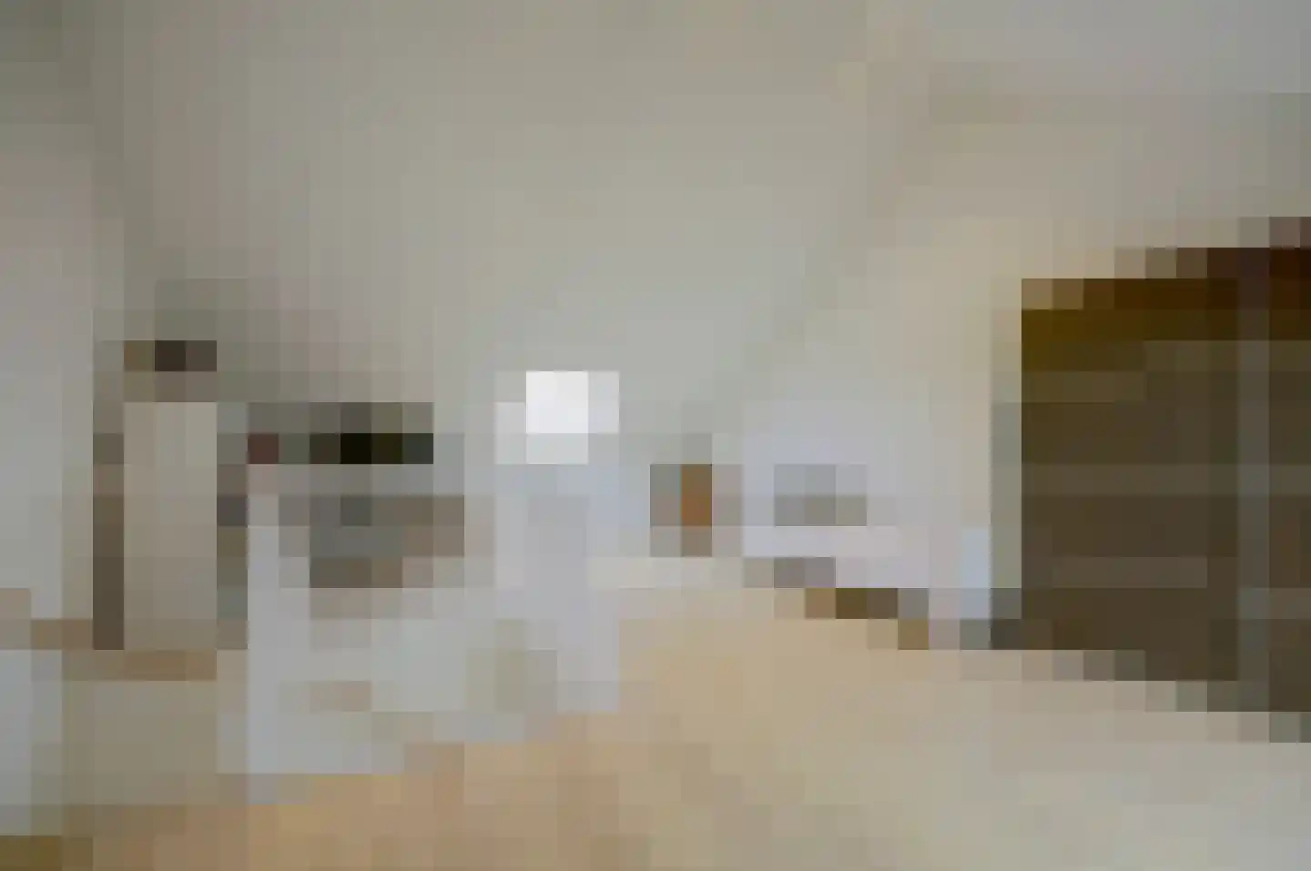 Amaliaplein 61 Wemeldinge thumbnail 33