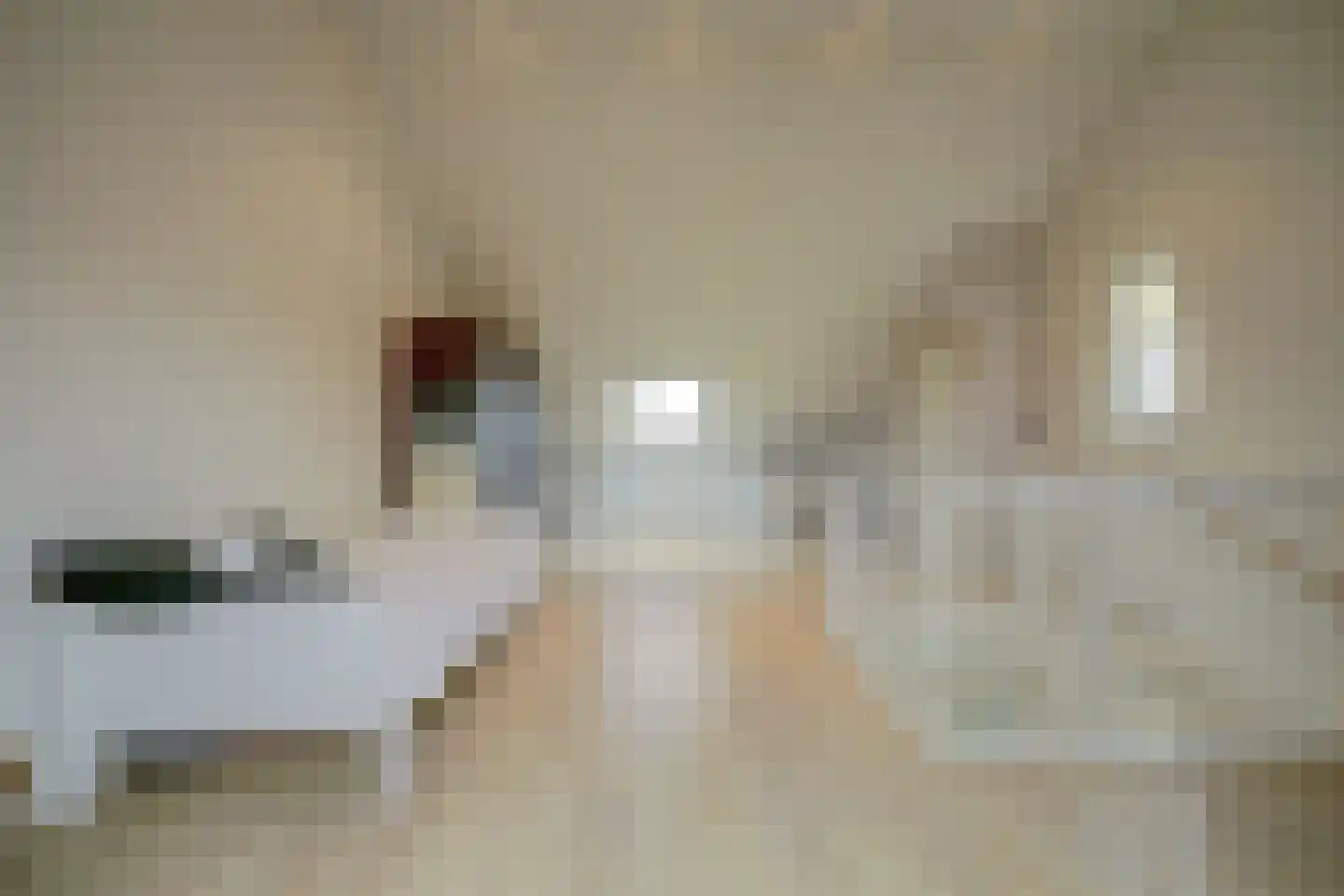 Amaliaplein 61 Wemeldinge thumbnail 36