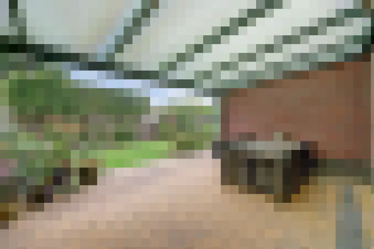 Amaliaplein 61 Wemeldinge thumbnail 41