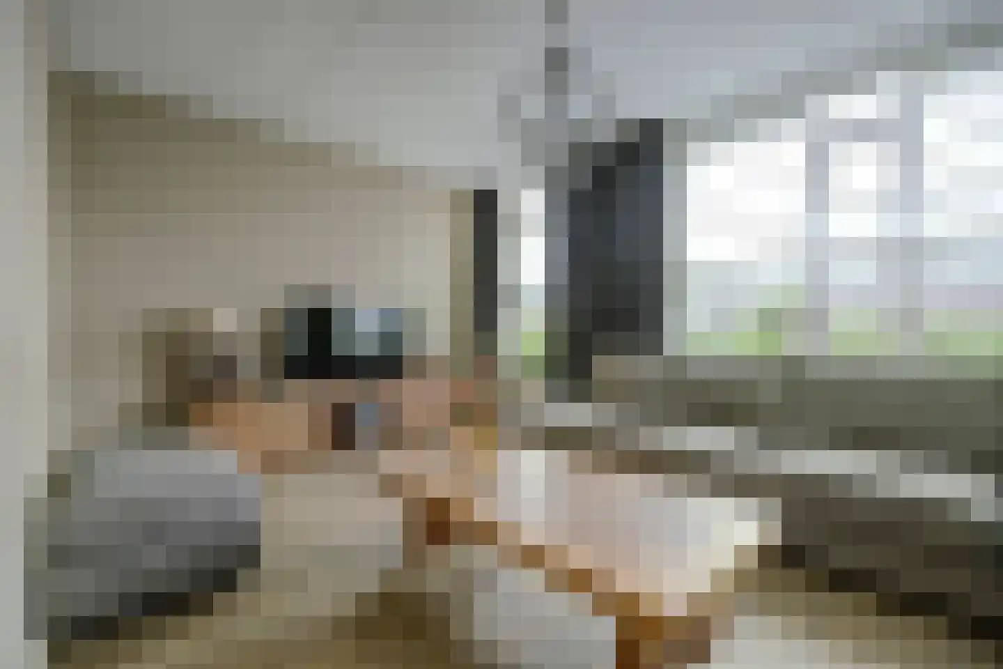 Amaliaplein 61 Wemeldinge thumbnail 9