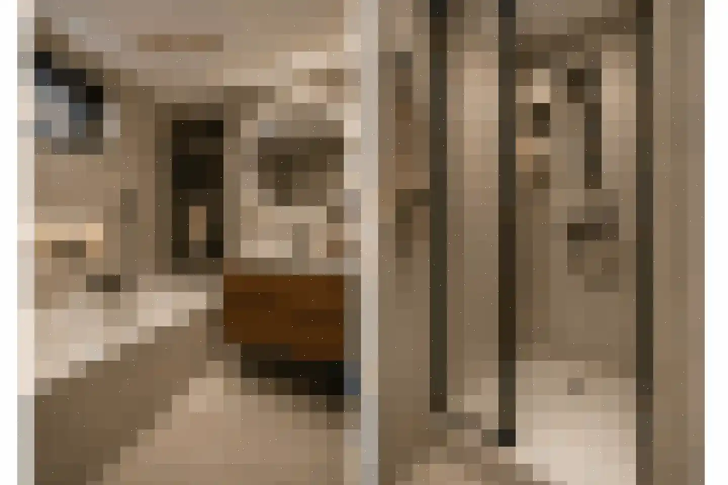 Amaliastein 115 Vianen thumbnail 17