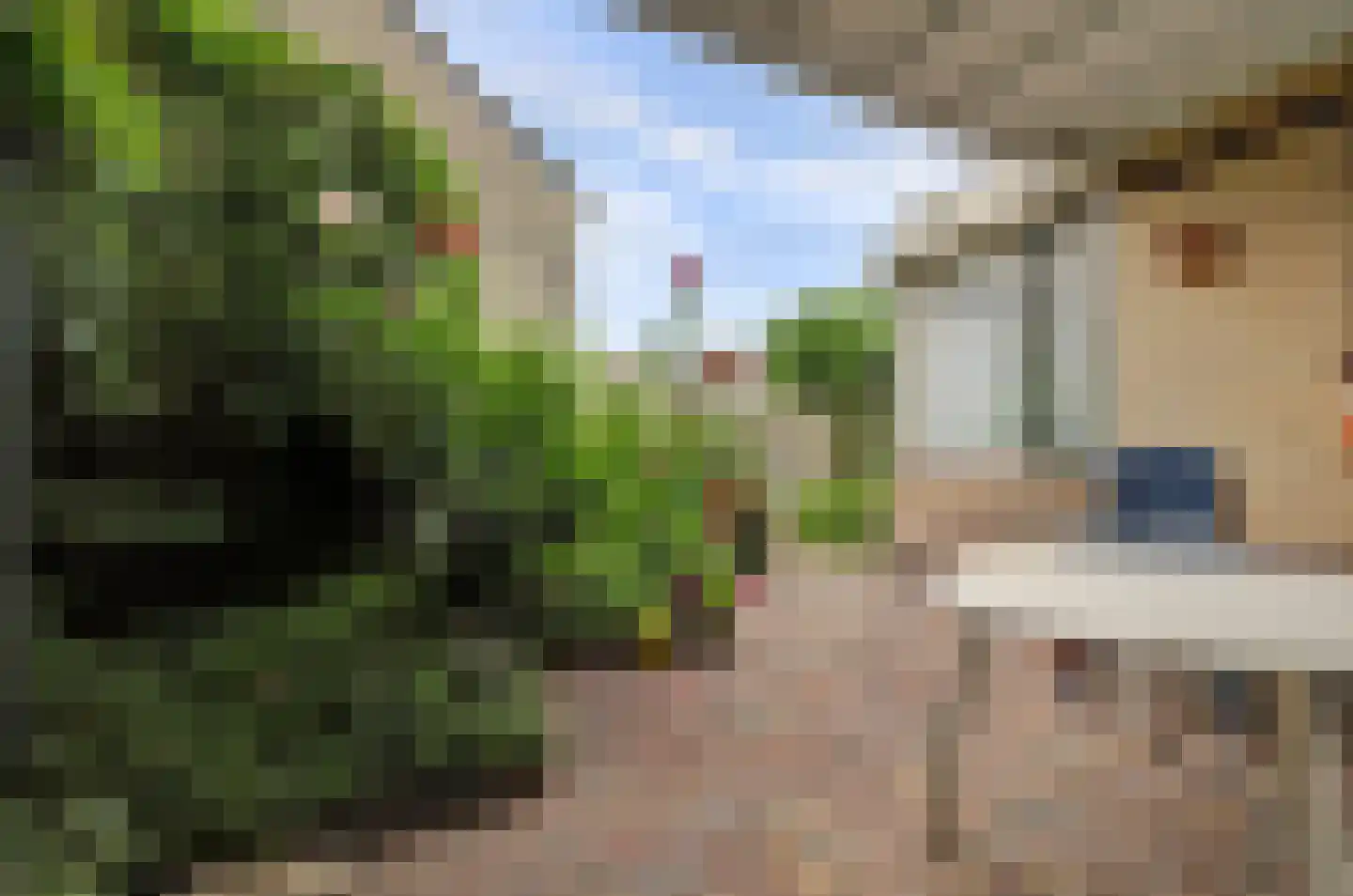 Amaliastein 115 Vianen thumbnail 25