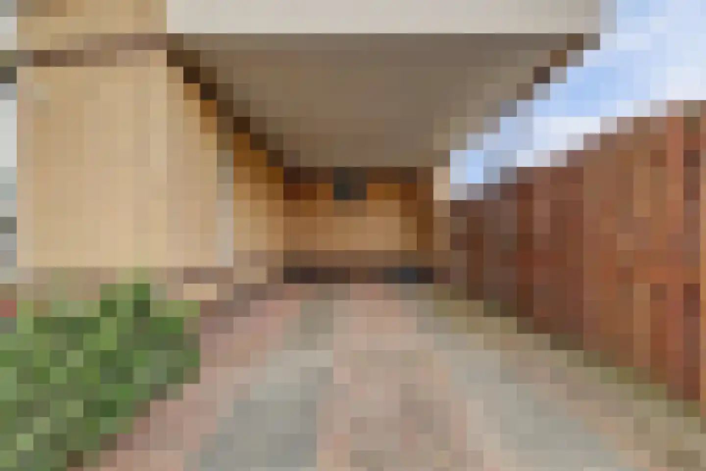 Amaliastein 115 Vianen thumbnail 30