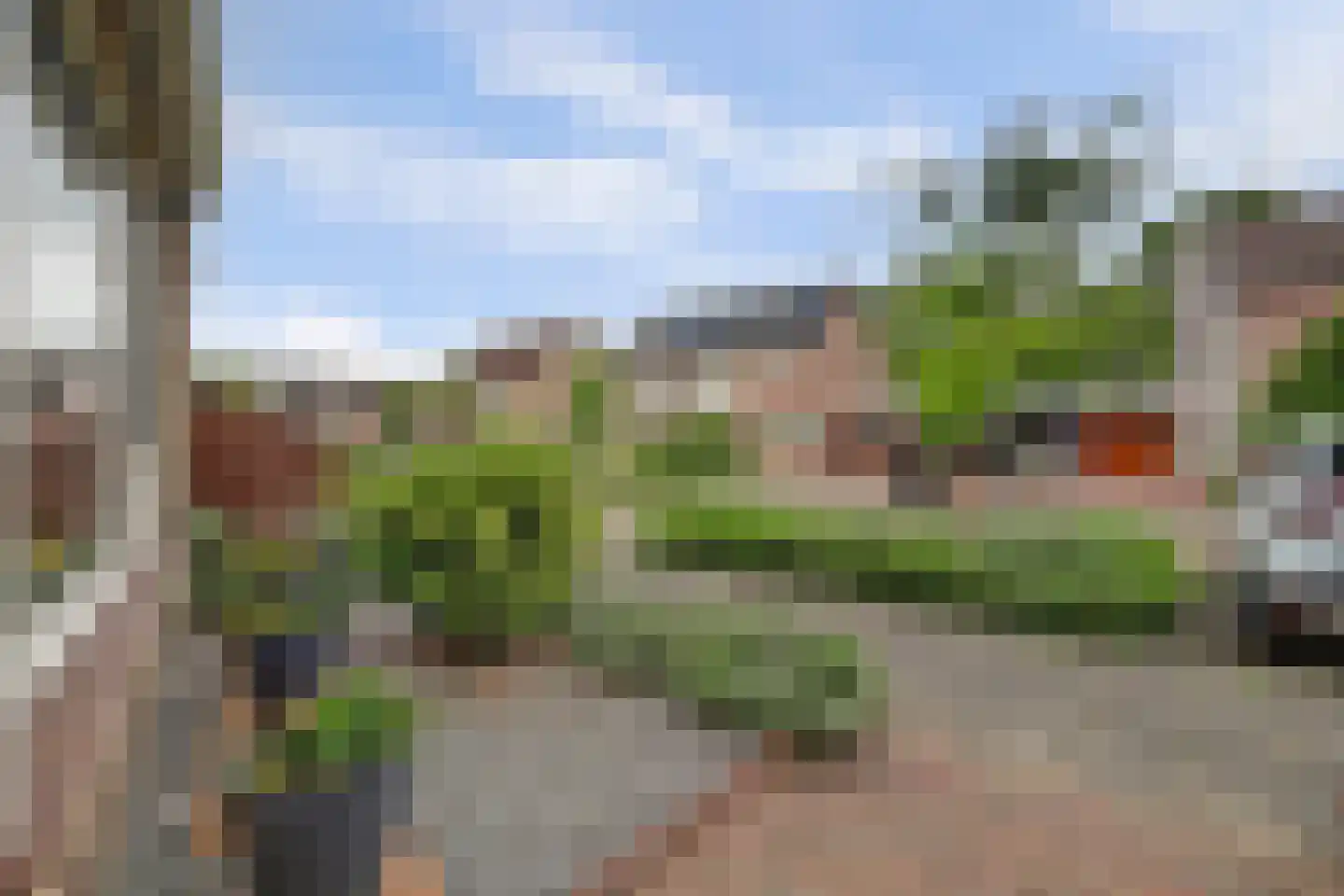 Amaliastein 115 Vianen thumbnail 31