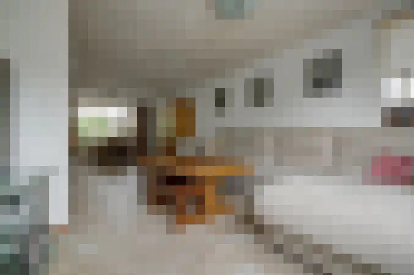Amaliastein 115 Vianen thumbnail 6