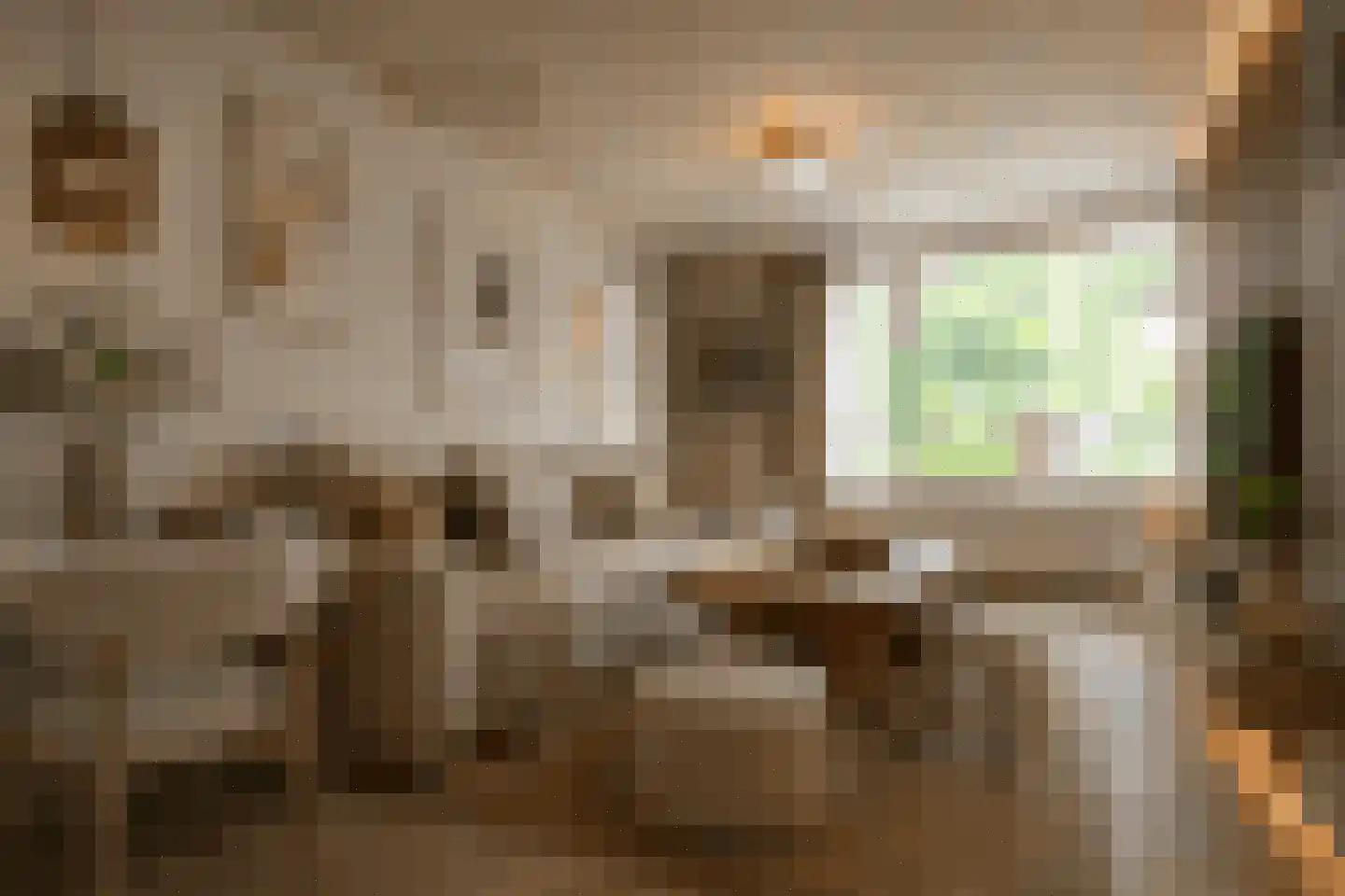 Amaliastein 115 Vianen thumbnail 7