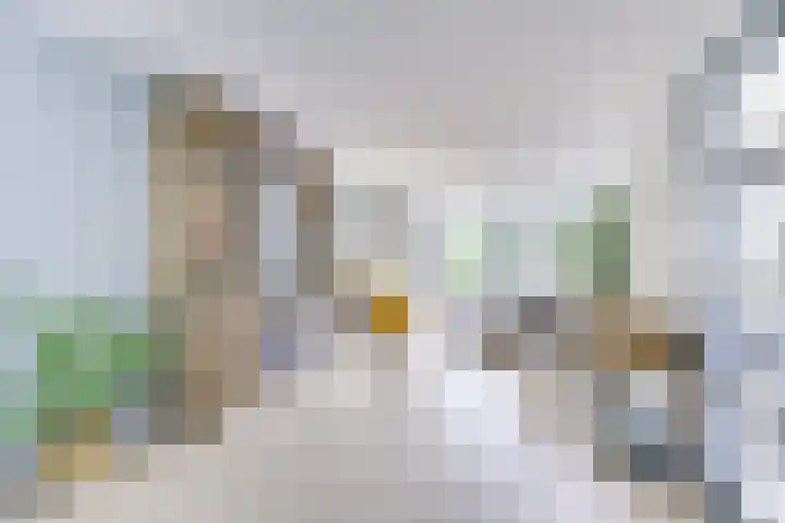 Amaliastein 138 Vianen thumbnail 10