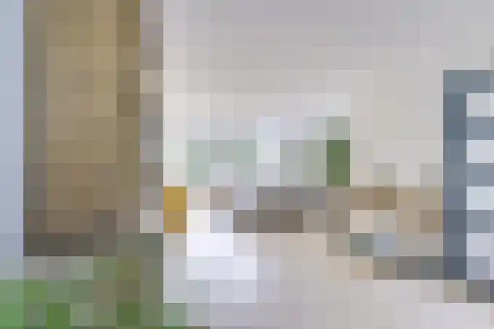 Amaliastein 138 Vianen thumbnail 11