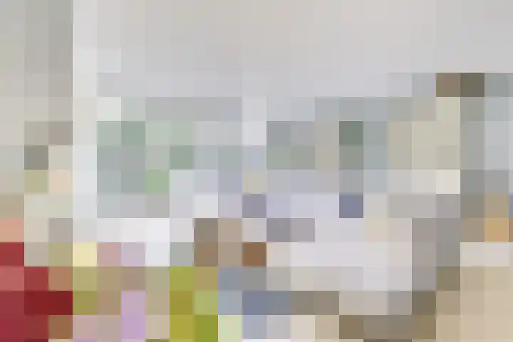 Amaliastein 138 Vianen thumbnail 13